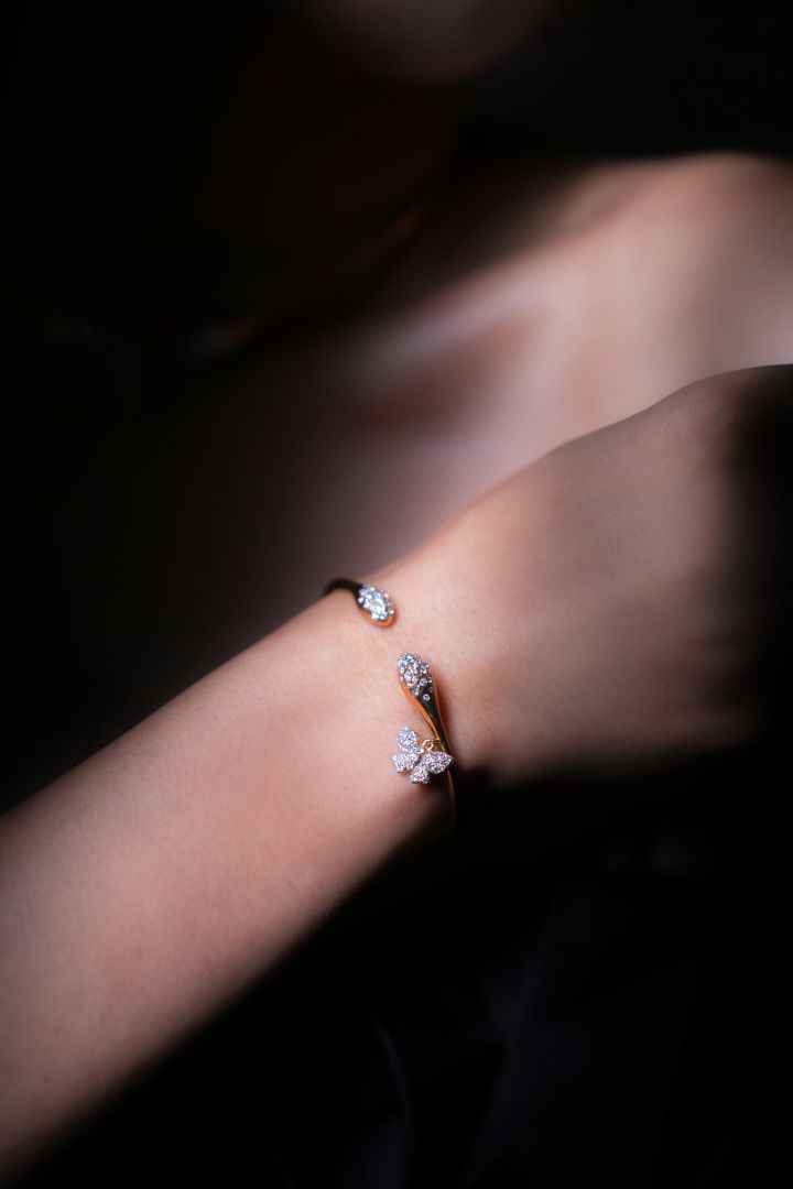Aile Bracelet